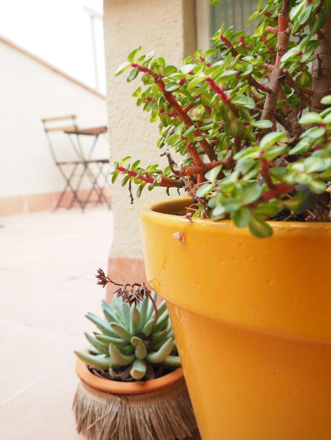 Apartaments la Rambla - Licorella - 4 persones Cornudella de Montsant Esterno foto